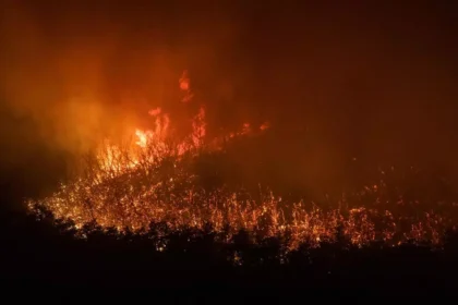 Incendios forestales