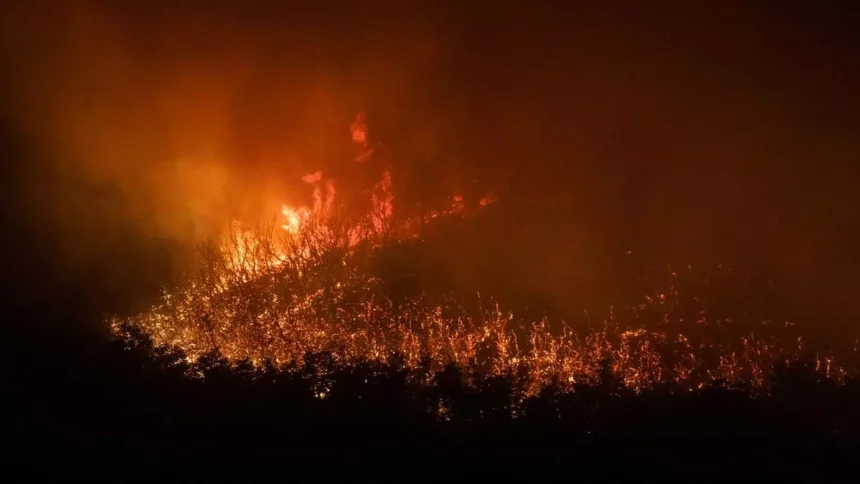 Incendios forestales