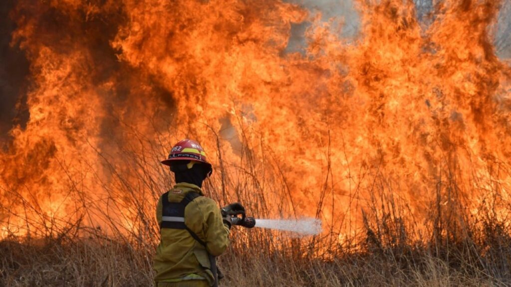 Incendios forestales