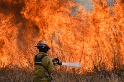 Incendios forestales