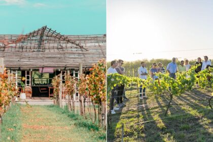 Buenos Aires cuenta con una gran bodega de vinos