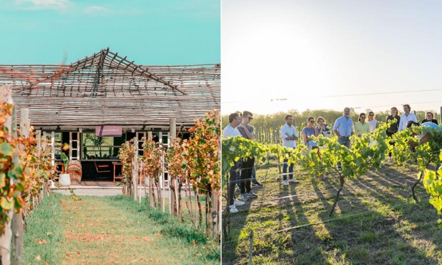 Buenos Aires cuenta con una gran bodega de vinos