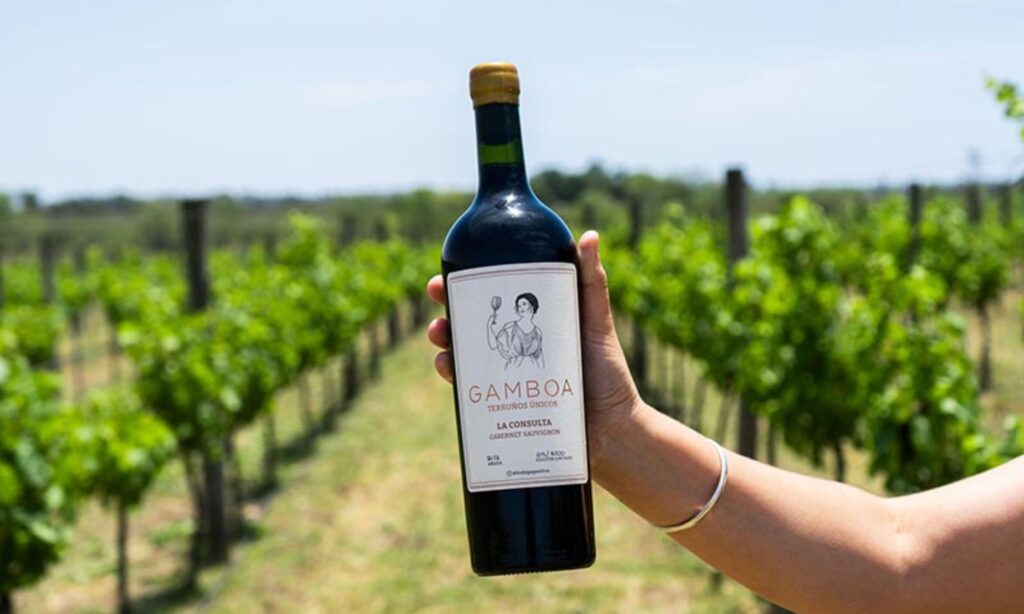 Bodega Gamboa vino