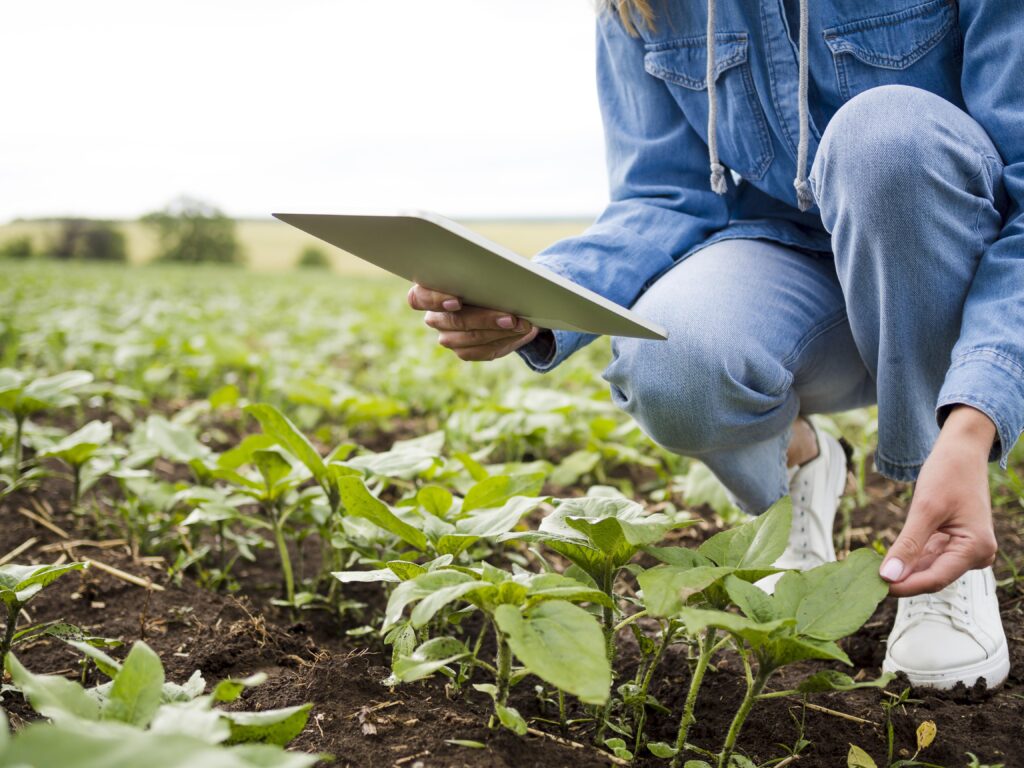 El Ingeniero Agrónomo es un profesional capacitado para intervenir de forma integral en sistemas de producción agropecuaria, con una mirada técnica, económica, social y ambiental.