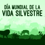 Vida Silvestre
