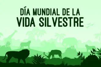 Vida Silvestre