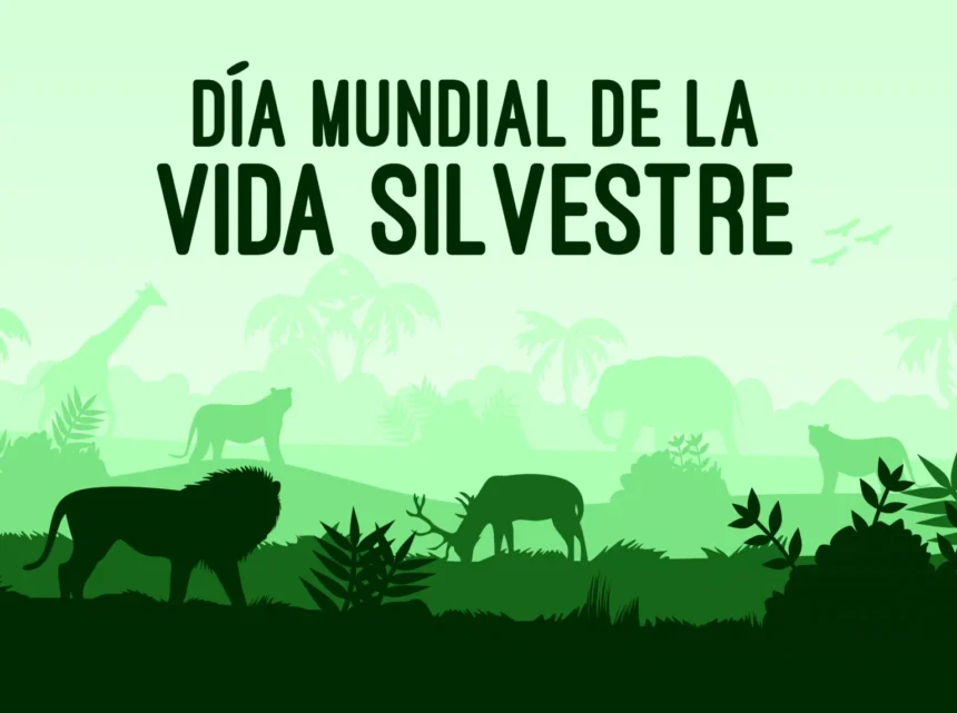 Vida Silvestre