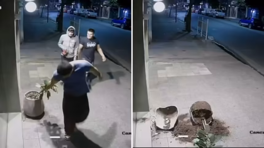 Tucuman rompieron una maceta de un local los escracharon por redes y repararon los destrozos