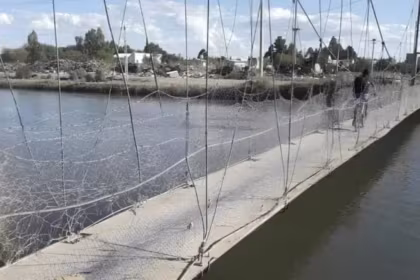 Brutal crimen en Rio Negro bajo de un vehiculo ataco a tiros a una mujer y escapo