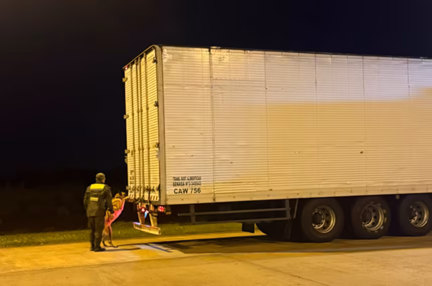 Hallaron casi media tonelada de marihuana en un camion de encomienda con destino a Buenos Aires
