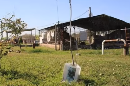 Identificaron en Tucuman los restos de un joven desaparecido en 1976
