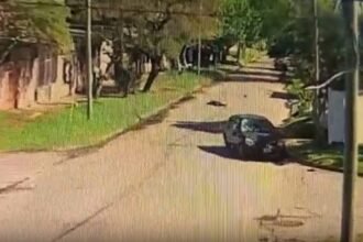 Un ciclista resulto herido al ser atropellado en Lomas de Zamora investigan una supuesta discusion previa