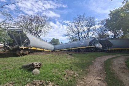 Un tren del Belgrano Cargas descarrilo en Santa Fe